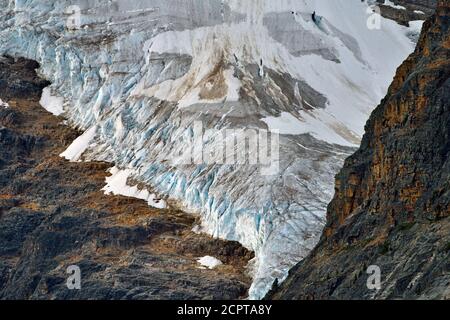 Une image en gros plan de la glace du glacier Angel sur le mont Edith Cavell dans le parc national Jasper Alberta Canada. Banque D'Images