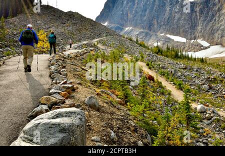 Randonneurs qui font la randonnée sur le sentier du mont Edith Cavell jusqu'au lac Cavell, dans les montagnes du parc national Jasper Alberta Canada. Banque D'Images