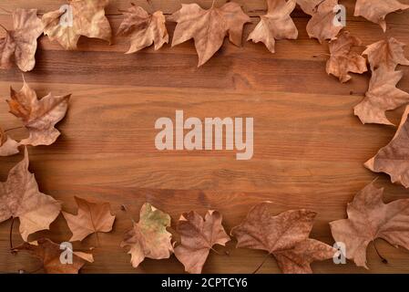 Cadre d'automne avec feuilles de platanus séchées sur une base en bois brun. Vue de dessus Banque D'Images