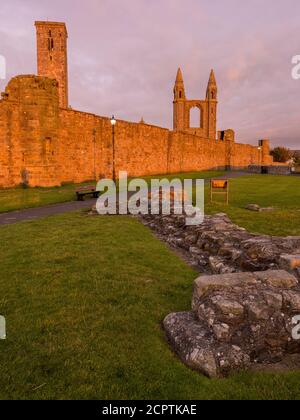Dramatique, Sunrise, la cathédrale de St Andrew, St Andrews, Écosse, Royaume-Uni, GB. Banque D'Images