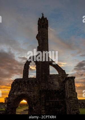 Dramatique, Sunrise, la cathédrale de St Andrew, St Andrews, Écosse, Royaume-Uni, GB. Banque D'Images