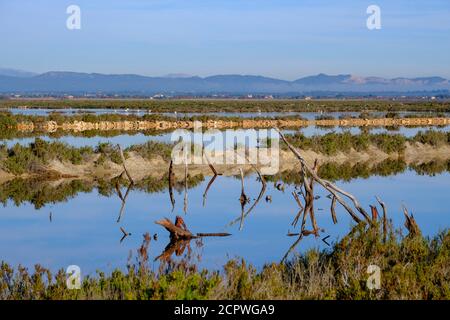 Salins, parc naturel es Trenc-Salobrar de Campos, près de Sant Jordi, région de Migjorn, Majorque, Iles Baléares, Espagne Banque D'Images