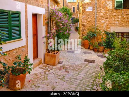 Allée à Fornalutx, Serra de Tramuntana, Majorque, Iles Baléares, Espagne Banque D'Images