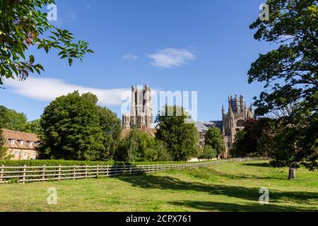 Cathédrale d'Ely vue depuis Cherry Hill Park, Ely, Cambridgeshire, Royaume-Uni. Banque D'Images