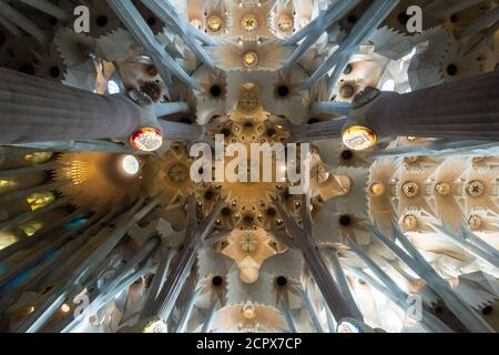 Barcelone, basilique de la Sagrada Familia, intérieur, plafond voûté Banque D'Images