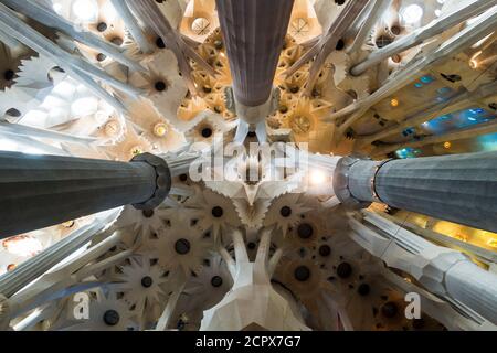 Barcelone, basilique de la Sagrada Familia, intérieur, plafond voûté, colonnes Banque D'Images