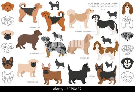 Les chiens concepteur, rocé, mélange hybride de chats collection isolated on white. Télévision clipart chien style défini. Vector illustration Illustration de Vecteur