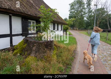 Une jeune fille passe devant une maison en chaume à colombages avec son chien. Banque D'Images