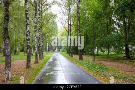 Une piste de jogging et une passerelle désertes pendant la matinée En automne, parc public à Nijni Novgorod Banque D'Images