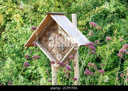 Structure en bois avec beaucoup de trous, appelé un hôtel d'insectes. L'intention est de prendre soin des insectes dans un environnement urbain. Banque D'Images