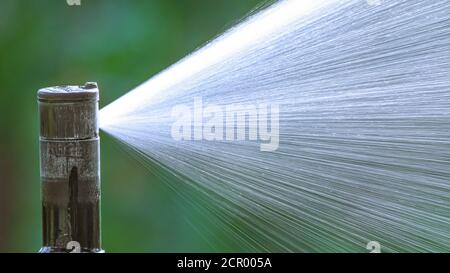 Arrosage automatique de la pelouse mise au point sélective. Macro Banque D'Images