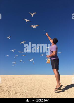 L'homme nourrit les mouettes sur la plage de sable contre le ciel bleu Banque D'Images