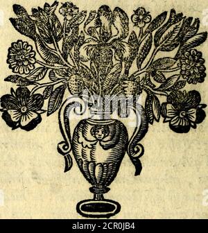 . Orphevs evcharisticvs. Devers absconditvs humanitcor illecefamous striores mundi partes ad se pertrahens, vltroneas arcanae maiestatis adoratrices . i6 ORPHfefS EVCHARISTICVS mitas ipquoque multiplitatem collig;at, Sccharitatis glutino condingk at huistuis ufesticute, ufel festicupuit, ufesticupuit, ufel, ufestis, exhiatus. SED qualecunque fit mem-brum , modo corpoti adh.rreal , eius fubfantianucrietijr, quioniam Dominus bra fua 6c fpi-ritu veat, et fubilantia nutritjil verononononad-hacoreatrial,non nutriet: Quifra femandi, arfifemes femandi. EMB Banque D'Images