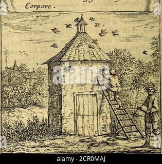 . Orphevs evcharisticvs. Devs absconditvs humanitatis illecebris illustriores mundi parties ad se pertrahens, vltroneas arcanae maiestatis adoratrices . EMBLEMA XXVII.TIN NVNCVLI CORPVS PCCVLTVM, COLVMB COMME SEDEM H V % A R E PROHIBENS, SECRCTA FITC^FTGOV AJRUCJ. Banque D'Images