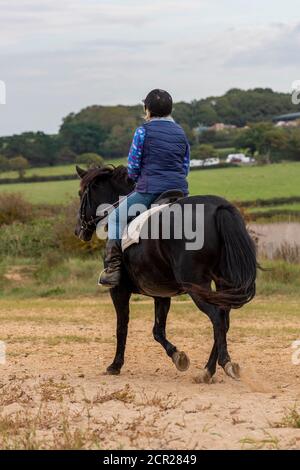une femme ou une dame plus âgée qui fait du cheval noir le long d'une plage sur l'île de wight. Banque D'Images