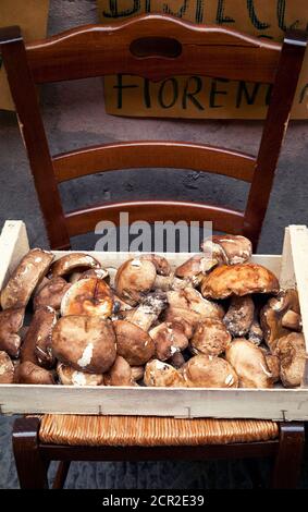 Caisse, champignons porcini, Pistoia, Toscane, Italie Banque D'Images