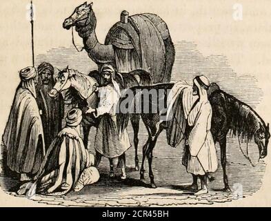. Les routes et chemins de fer, les véhicules, et les modes de déplacement, des pays anciens et modernes; avec des comptes de ponts, tunnels et canaux, dans diverses parties du monde . e a ainsi dansé sur les installations offertes aux hommes et aux animaux en se déplaçant sur la surface de la terre. Wehas vu que de nombreux obstacles sont opposés, et manydifficultés à surmonter, et que les modes de voyage sont aussi divers que la nature du sol sur Avhich mantravs. Procédons maintenant dans un ordre plus méthodique :retrace les progrès des routes et des ponts, des canaux et des tunnels, des voitures et des véhicules de chaque description Banque D'Images
