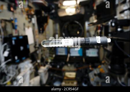 Détecteurs de rayonnement pour l'expérience Radi-N2, flottant dans l'environnement antigravitationnel de l'ISS. Un tel dispositif aidera les scientifiques à apprendre comment Banque D'Images