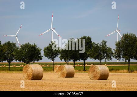 Linnich, Rhénanie-du-Nord-Westphalie, Allemagne - après la récolte du grain, des balles de paille se trouvent sur le champ de chaume, derrière les éoliennes du parc éolien. Banque D'Images