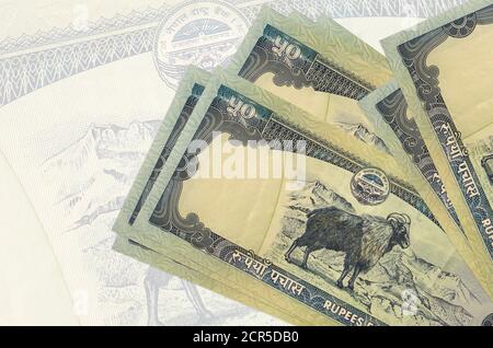 50 les billets de roupies népalaises sont empilés sur le fond d'un grand billet de banque semi-transparent. Présentation abstraite de la monnaie nationale. Concept d'entreprise Banque D'Images