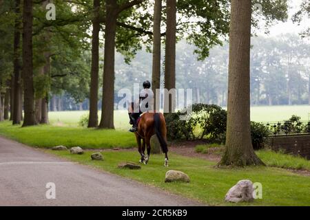 Une femme fait sortir son cheval le matin, Lochem, pays-Bas Banque D'Images