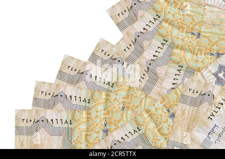 25 les billets de piastres égyptiens se trouvent dans un ordre différent isolé sur blanc. Le concept de banque locale ou de fabrication d'argent. Bannière d'arrière-plan commercial Banque D'Images