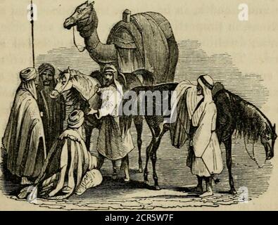 . Les routes et chemins de fer, les véhicules, et les modes de déplacement, des pays anciens et modernes; avec des comptes de ponts, tunnels, et canaux, dans diverses parties du monde .. . -a dansé à .les installations et gt; offert aux mandes animaux en se déplaçant sur la surface de la terre. Wehas vu que .beaucoup d'obstacles sont opposés, et manydifficultés à être surmonté, et que les modes de voyage sont aussi divers :que la nature du sol sur lequel les manvoyages. Passons maintenant à l'étape.un ordre plus méthodique:retrace le progrès des routes et des ponts; des canaux et des tunnels; des voitures et des véhicules de chaque de Banque D'Images