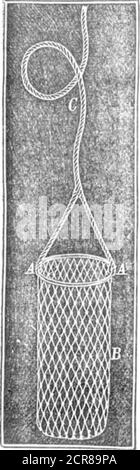 . Scientific American Volume 24 Numéro 03 (janvier 1871) . les pieds de haut, ou peut-être alittle au-dessus de la taille répondrait; et dans le cas des nourrissons et des enfants qui se sont mis dans, ils auraient beaucoup d'aiidans les espaces ouverts. Il sera biencessaire d'utiliser un sac, parce que beingparfaitement pliable la partie en elle pourrait plus facilement aider à se lancer lui-même ou elle-même hors du seuil de la fenêtre ; pour en cas de devoir soulever une aide de la sorte avec son fret humain, le wpuld moréforce doit être amené tobaar que la personne au sommet pourrait easilymis en avant. J'ai jeté des indices dans l'espoir que Banque D'Images