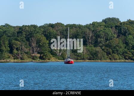 Allemagne, Mecklembourg-Poméranie occidentale, Stralsund, bateau à voile rouge se trouve dans une baie de Strelasund, une entrée de la mer Baltique Banque D'Images