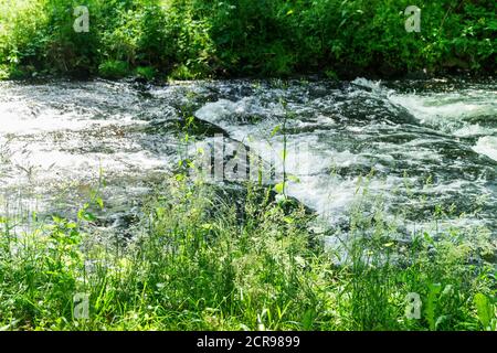 Rhin Rheinsberger, ruisseau d'eau sauvage Banque D'Images