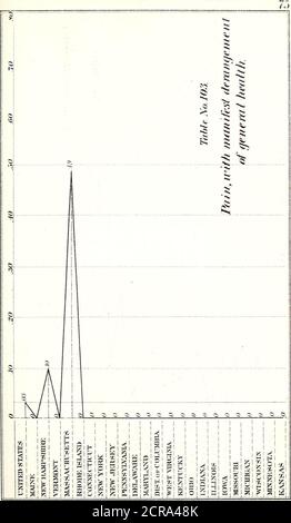 . Rapports de Bvt. Bang. Le général D. C. McCallum, directeur et directeur général des chemins de fer militaires des États-Unis, et [de James B. Fry] le Grand prévôt général, en deux parties : Annexe au Rapport du Secrétaire de la guerre message d'accompagnement du Président au 39e Cong., 1re sess . Banque D'Images