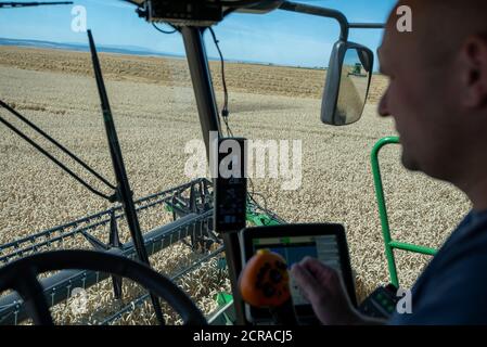 Poste de pilotage d'une moissonneuse-batteuse, conducteur, récolte de blé d'hiver Banque D'Images