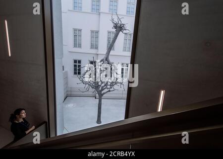 17 septembre 2020, Hessen, Francfort-sur-le-main : la sculpture « sans titre » d'Ariel Schlesinger, composée de deux arbres, domine la cour intérieure du nouveau musée juif de Francfort. En années de travaux de rénovation, le bâtiment historique a été agrandi par un nouveau bâtiment, qui sera ouvert aux visiteurs à partir d'octobre 21. (À dpa 'le plus ancien musée juif d'Allemagne devient le plus récent' de 20.09.2020) photo: Boris Roessler/dpa Banque D'Images