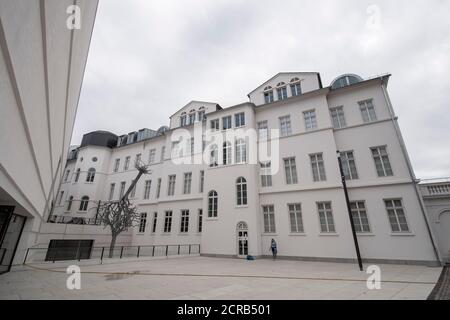 17 septembre 2020, Hessen, Francfort-sur-le-main : la sculpture « sans titre » d'Ariel Schlesinger, composée de deux arbres, domine la cour intérieure du nouveau musée juif de Francfort. En années de travaux de rénovation, le bâtiment historique a été agrandi par un nouveau bâtiment, qui sera ouvert aux visiteurs à partir d'octobre 21. (À dpa 'le plus ancien musée juif d'Allemagne devient le plus récent' de 20.09.2020) photo: Boris Roessler/dpa Banque D'Images