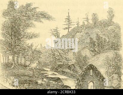 . Guide de chemin de fer de Harpers, New York et Erie .. . ion de cet inconnu asthmatique dans la vallée de Ramapo, le thevillage de Johnston a été effrayé de son nouveau propriétaire, le VTOBK ET LE CHEMIN DE FER ÉRIÉ. 59 par des bruits étranges et affreux dans les forêts, se produisant jour et nuit. Ils ont été à la fois attribués à l'animalsholding sauvage leurs revels dans les bois. On croyait que le spécimen somelingering du mastodon a causé le rang, et donc, une nuit sombre, les villageois, la collecte des canons, des haches, et des fourches de tangage, se sont installés dans l'ambuscade pour le monsterat l'heure qu'il a choisi pour ses exercices vocaux. À l'heure habituelle t Banque D'Images