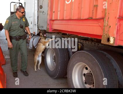 L'agent de patrouille à la frontière sud du Texas et du SDPF inspecter canine chariot à vérifier point inspection le 25 septembre 2013. Banque D'Images