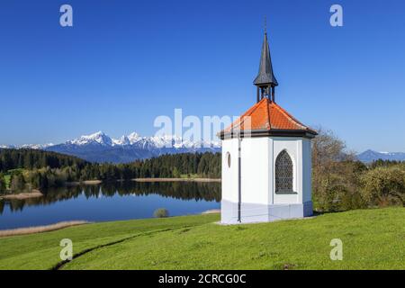 Hegratsrieder Chapelle devant le panorama des Alpes de l'Allgäu près de halch, Ostallgäu, Allgäu, Swabia, Bavière, sud de l'Allemagne, Allemagne, Europe Banque D'Images