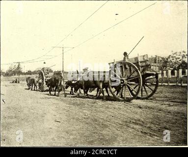 . Journal de chemin de fer de la rue . Street Railway Journal,^.Y. BRANCHEMENT DES BATTERIES DE STOCKAGE À LA STATION D'APPOINT suitting ENGINEER, E. T. Birdsall, M. E.; directeur général résident, Charles R. Thursby, C. E.; chef résident en-gineer, J. W. McCrosky. Electric Railroading à Milwaukee le service de voiture quotidien le plus lourd de toute compagnie de chemin de fer d'Americanstreet est peut-être celui donné par la Milwaukee ElectricRailway & Light Company, de Milwaukee, de Milwaukee, à partir de Milwaukee Waukesha. La distance entre ces deux points est de 20 milles, et le service d'hiver est donné par deux voitures, qui font la distance en cinquante-cinq minutes environ, un A. Banque D'Images