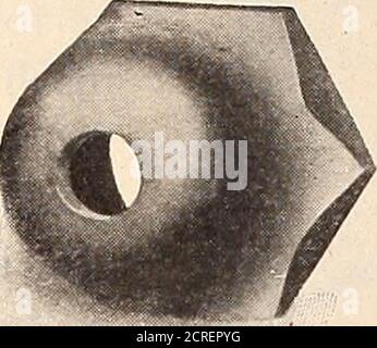 . Maître mécanicien de chemin de fer [microforme] . Figure 6 – articles sur les poinçons, les matrices et les accouplements. La plupart d'entre eux construisent des lignes complètes couvrant toutes les exigences usuelles. Sur la Fig. 3 est illustré le no 8 de la combinaison et de la cisaille, 42-in. Gorge, construit par George WhitingCo., Chicago, expressément pour les chaudières. Il montre les strippers de Whiting, et la machine a une forme spéciale de la gorge pour poinçonner les petites têtes à bride, bien que madeavec d'autres formes de gorge. Banque D'Images