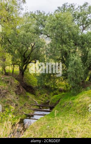 Au bord de la crique, paysage rural près de Lostock dans la région Upper Hunter de NSW, Australie. Banque D'Images