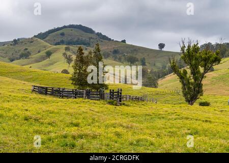 Campagne vallonnée près de Lostock, dans la région Upper Hunter, en Nouvelle-Galles du Sud, en Australie. Banque D'Images