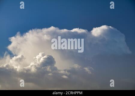 Un nuage de cumulus doux contre un ciel bleu profond Banque D'Images