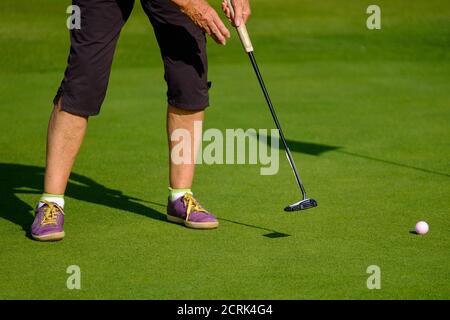 pieds de golfeur femelle dans des chaussures roses mettant le ballon vers trou Banque D'Images