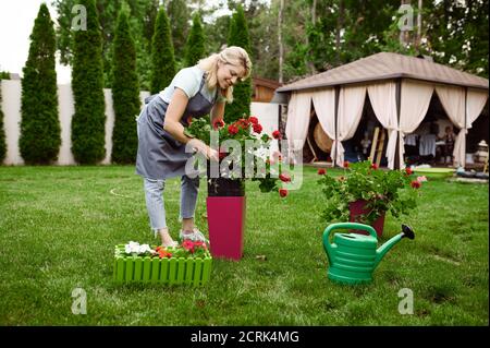 Femme souriante travaille avec des fleurs dans le jardin Banque D'Images