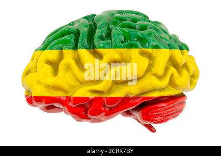 Cerveau humain avec couleurs de drapeau Rasta. Rendu 3D isolé sur fond blanc Banque D'Images