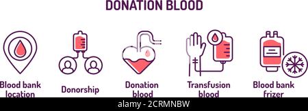 Icônes de la ligne de couleur des dons de sang. Campagne Gareautrain. Pictogrammes pour le Web, l'application mobile, la promotion. Éléments de conception UI UX. Contour modifiable. Illustration de Vecteur