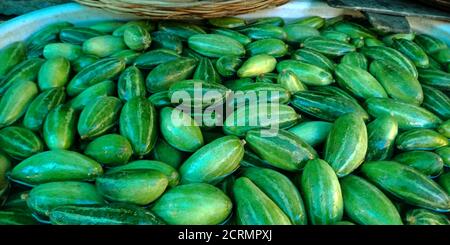 Vert frais pointée Gourd isolat avec mix agriculture produire agriculteurs fond de marché. Banque D'Images