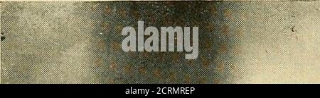 . Le tube digestif : une étude radiographique . Figure 42. Banque D'Images