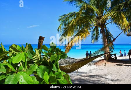 Kendwa Beach sur l'île de Zanzibar Banque D'Images