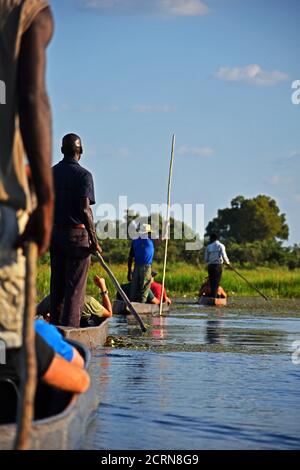 Le delta de l'Okavango au Botswana Banque D'Images